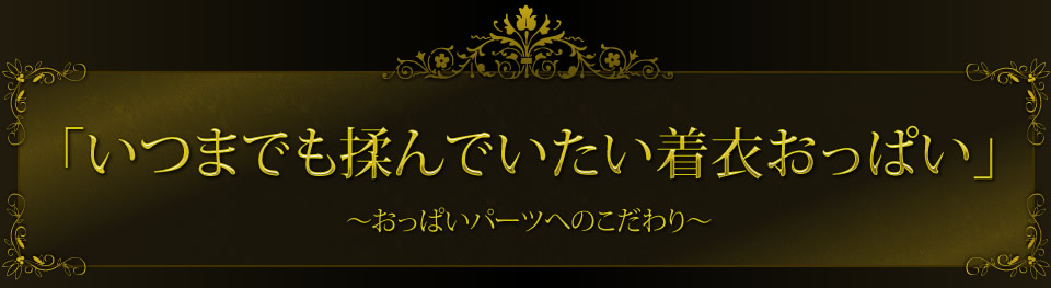 「いつまでも揉んでいたい着衣おっぱい」～おっぱいパーツへのこだわり～